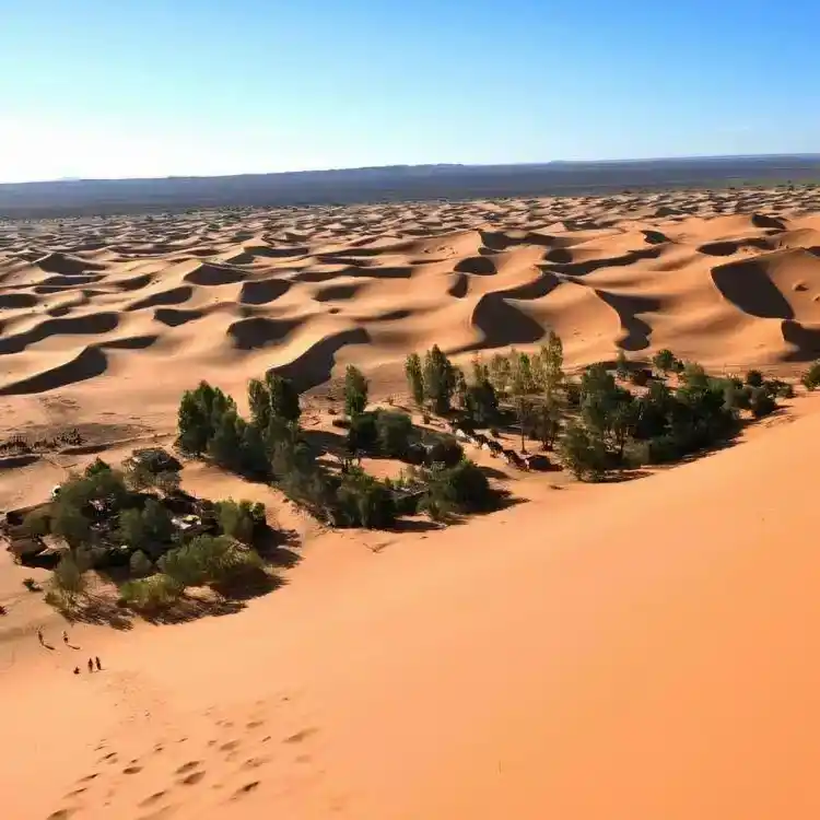 one night in a Oasis in Merzouga Desert